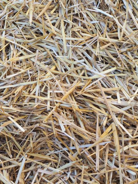 Ti consigliamo - Paglia - un ottimo materiale da costruzione